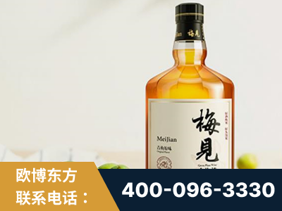 张家港-梅见青梅酒