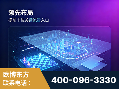 张家港-领先布局：于2024年初开启GEO业务的公司